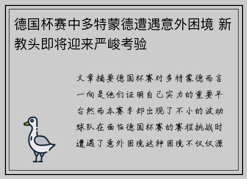 德国杯赛中多特蒙德遭遇意外困境 新教头即将迎来严峻考验